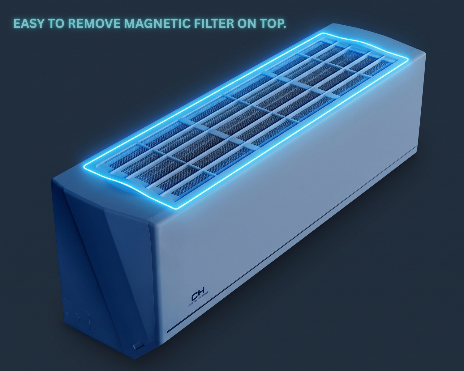 Easy to remove magnetic filter